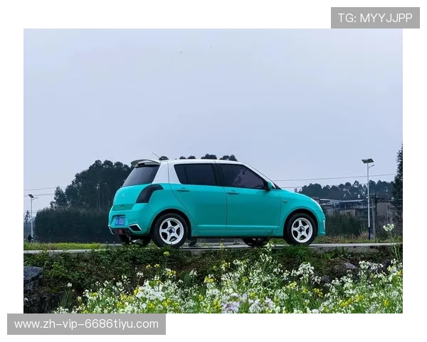 16款雨燕卖5万，据说日本有钱人才开得起它